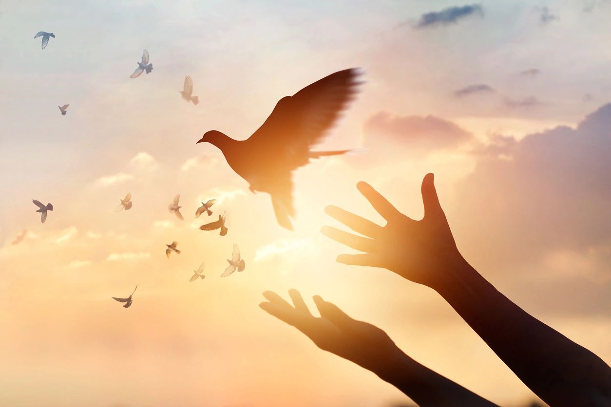 A person 's hands reaching up to the sky as birds fly overhead.